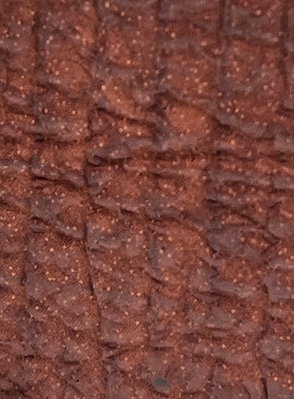 Cognac Genuine Shark Wallet | BPW7685